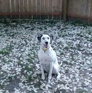 Meet your Posher, Kendra